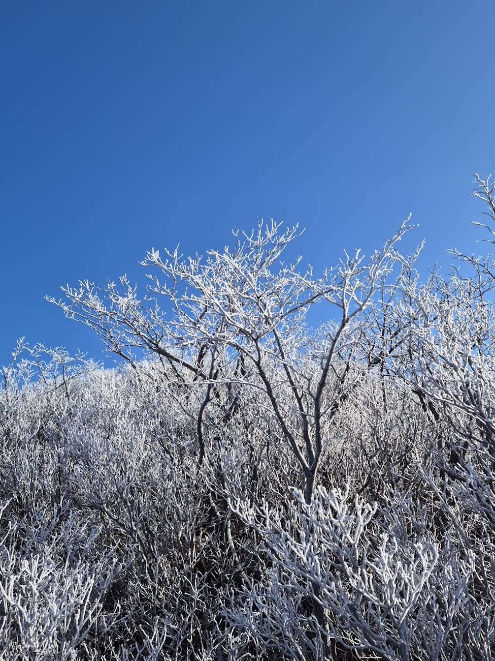 동시성 제어의 핵심: 락, 뮤텍스, 세마포어 마스터하기