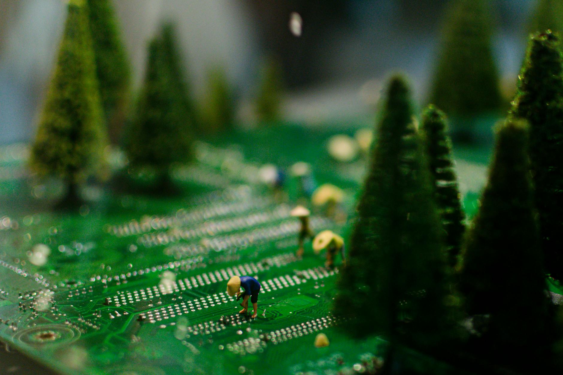 2. 방해 요소 최소화 및 집중 환경 조성